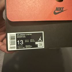 Jordan Flu Game 12s Size 13 