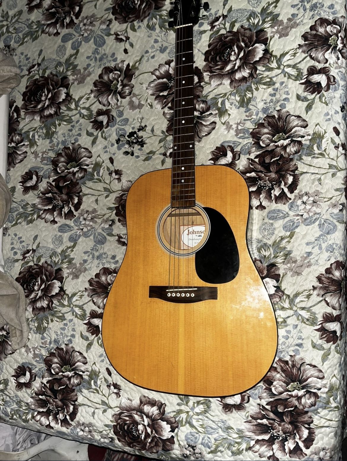 Johnson Guitar