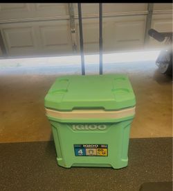 Igloo Cooler
