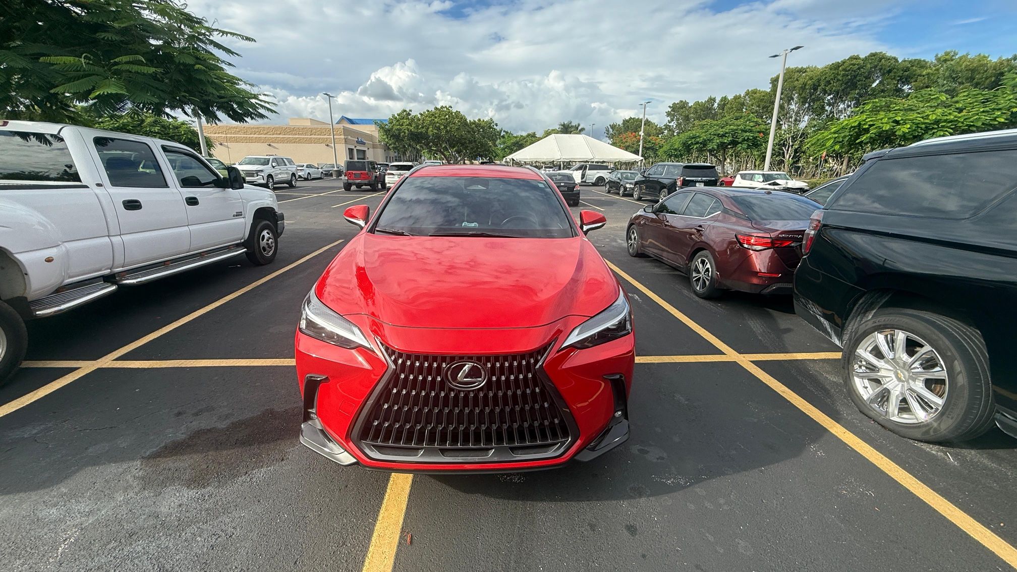2023 Lexus NX 250