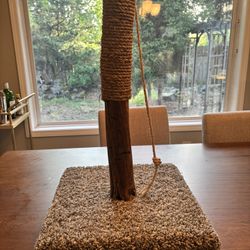 Cat Scratcher