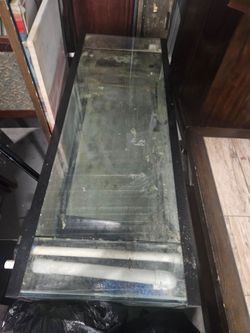 Aquarium over 50 gallons