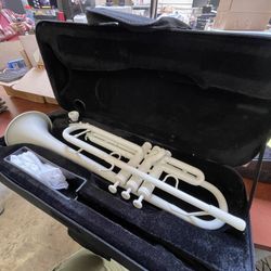 Trumpet Case And Trumpet AS IS 