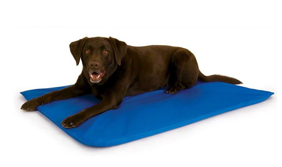 Cooling Dog Bed