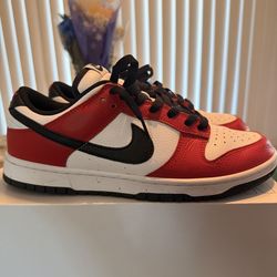 Nike low top dunks