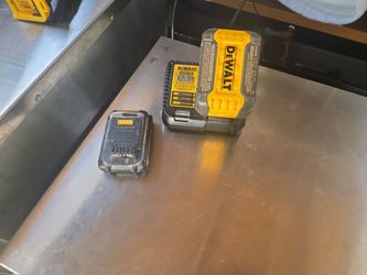 2 dewalt batteries with charger