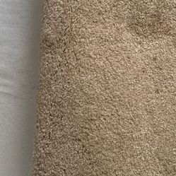 Normal Wear Carpet Beige Nice Color 10x11