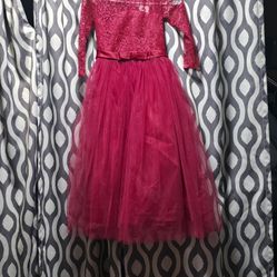 Girls Elegant Lace and Tulle Dress 9-10