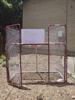 Professional Soccer goal