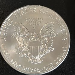 silver Coin Each $33