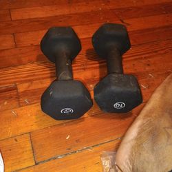 TWO 10 POUND WEIGHTS 