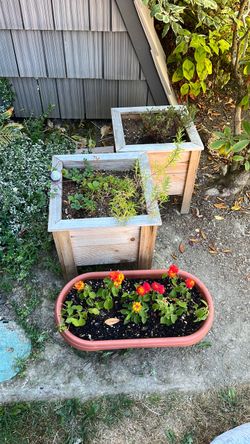 Wooden Raised Garden Planter Boxes Set of 2
