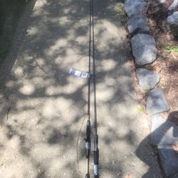2 Brand New Fishing Poles 