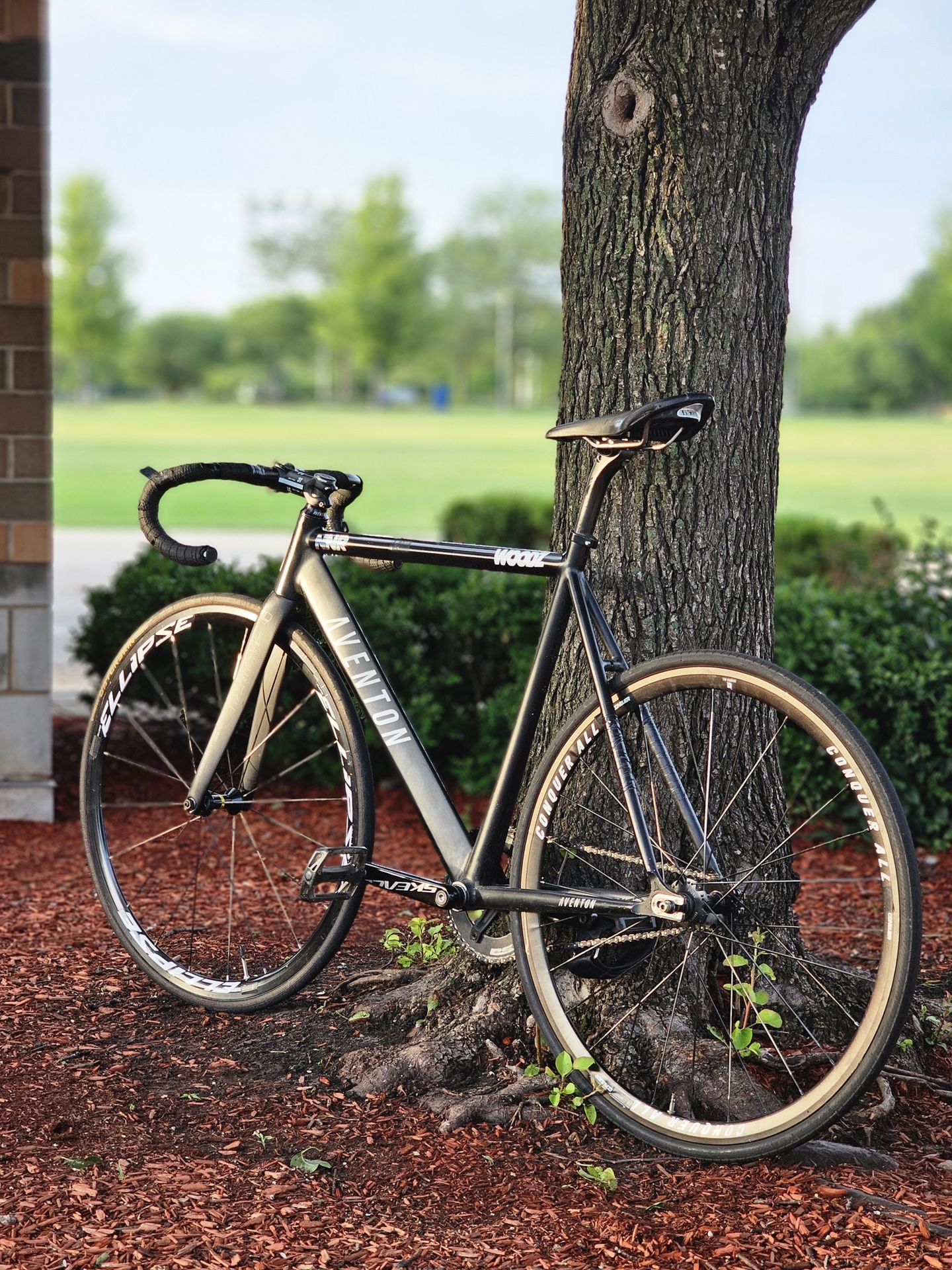 Aventon Fixie