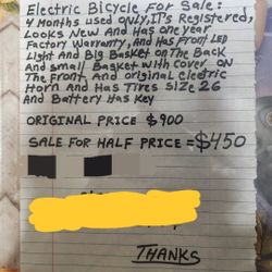 Electric Bicycle 