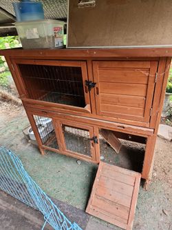 Small pet house
