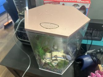 Fish Tank And Accessories 