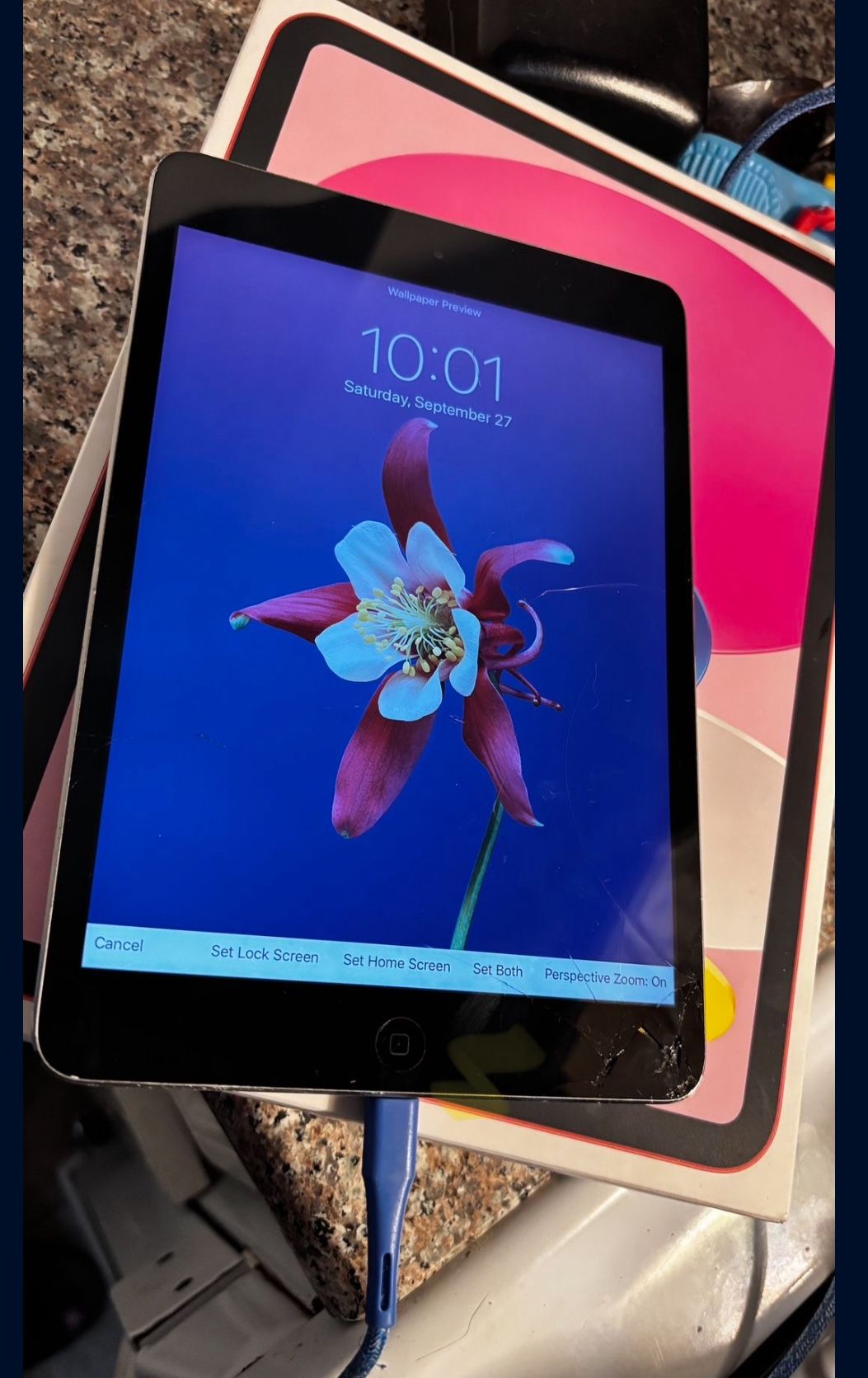 iPad Mini 2
