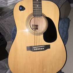 6 string acoustic guitar rogue