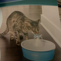 Cat Fountain 