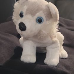 Husky Plushie