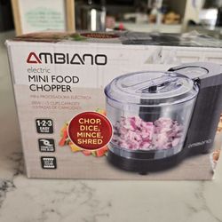 Mini Food Chopper