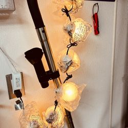 Indoor Outdoor Globe Lights 