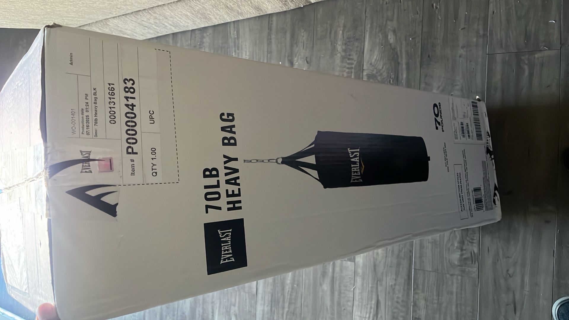 Everlast Punching Bag