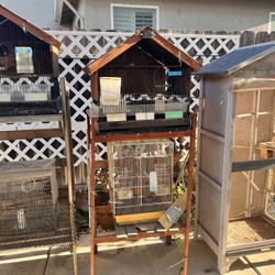 Bird Cage