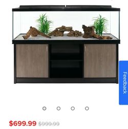 125 Gallon Aquarium