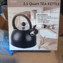 DFL 2.1 Quart Tea Kettle