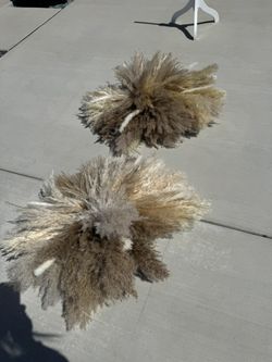 Pampas Wall Decor 