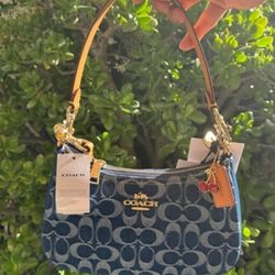 Coach Teri Shoulder Bag In Signature Denim