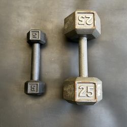 5 lb & 25 lb Dumbbells