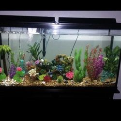 60 Gallon Tank With Stand 