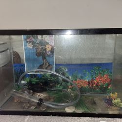 Big Glass Fish Tank 