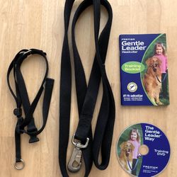 Large Gentle Leader Harness and Six-Foot Leash