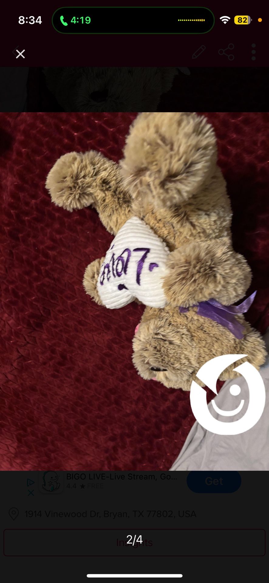Bear Stuffed Animal
