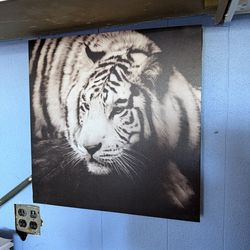 White tiger poster painting