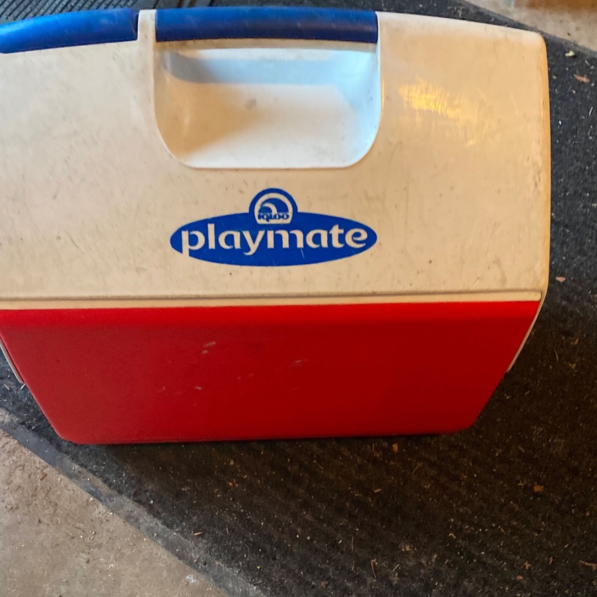 Playmate Lunch Box/Cooler Good Condition