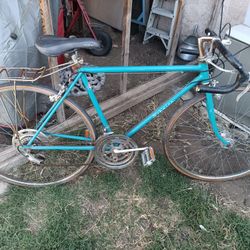 Schwinn Road Bike Vintage 