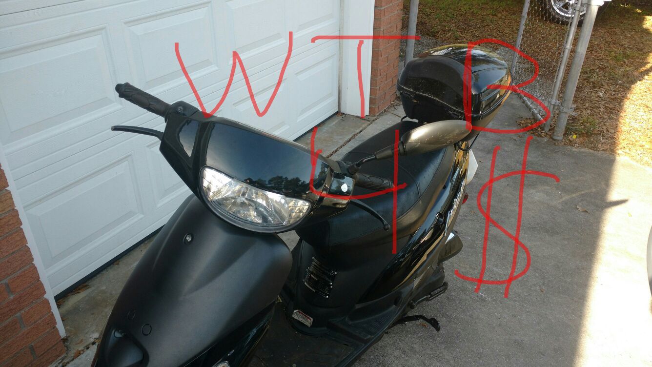 Looking to buy mopeds