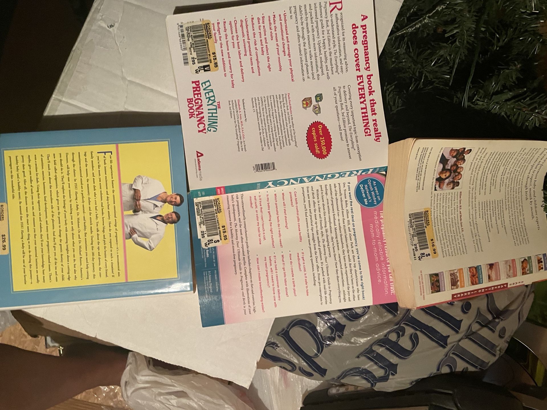 Pregnancy Books, What To expect When Expecting Bookd