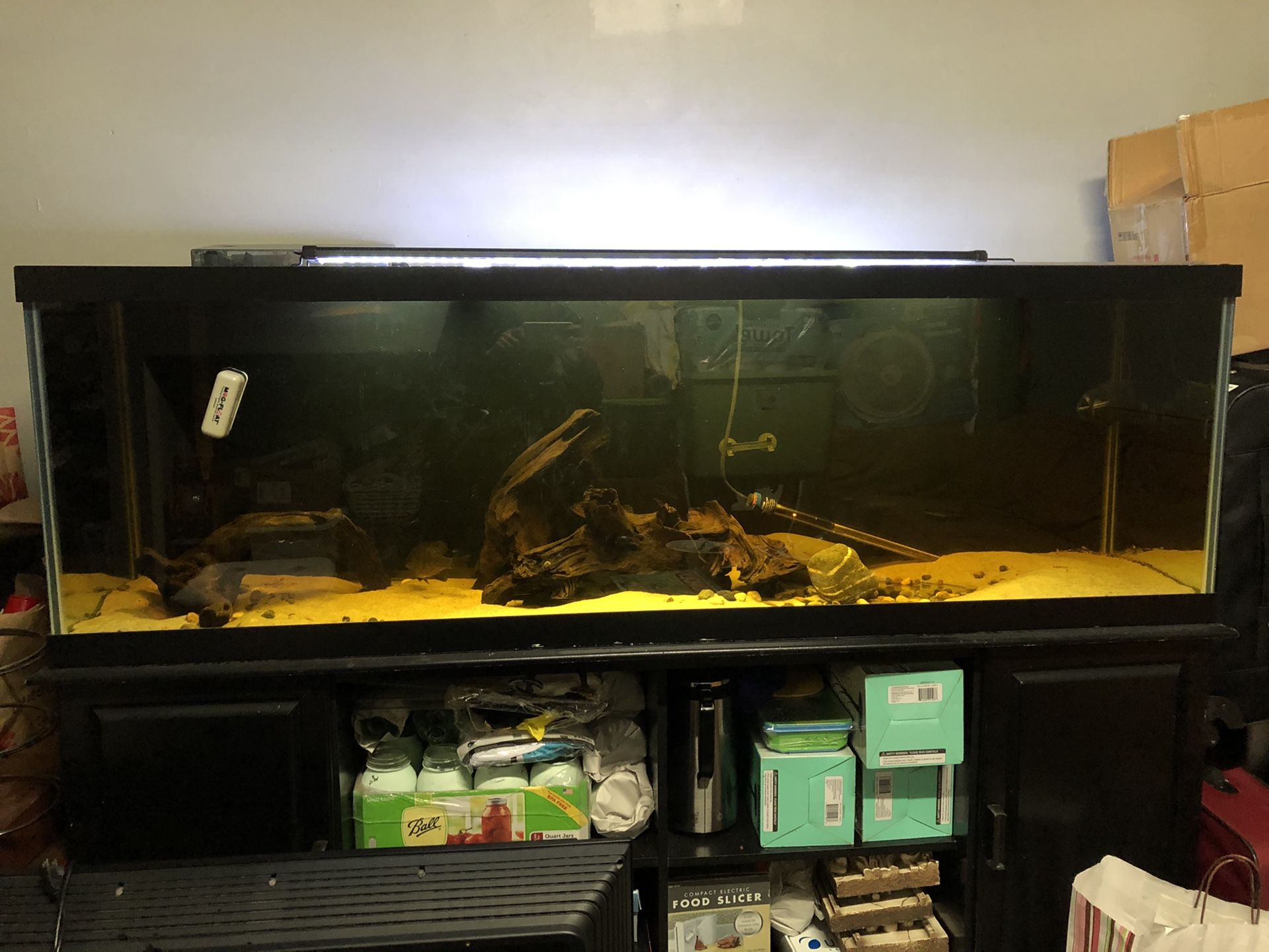 125 Gallon Fish Tank