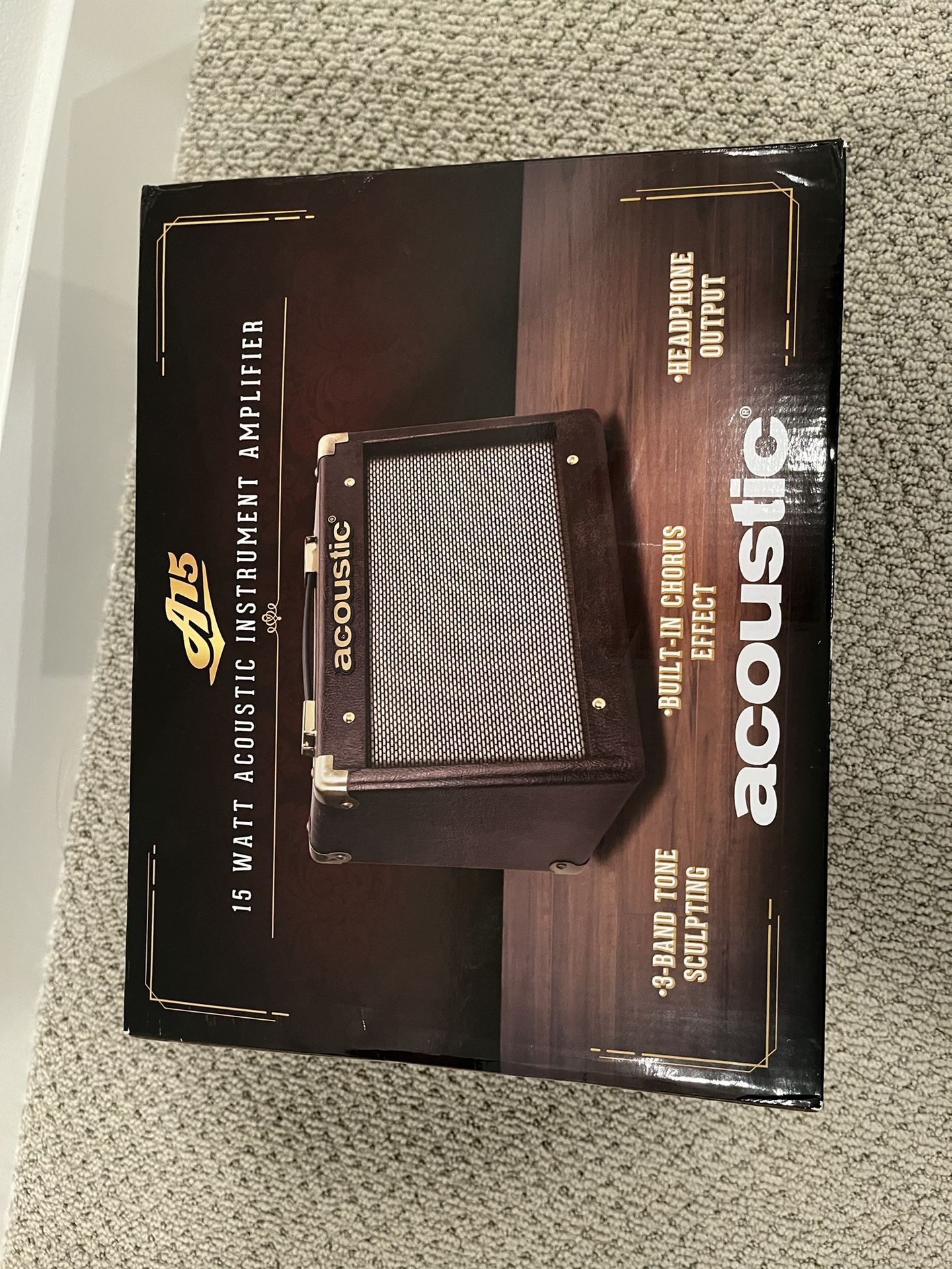 Acoustic Guitar Amp