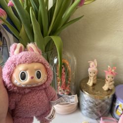 Lychee Berry Labubu