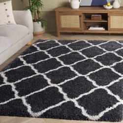 Shag Accent Rug 4’x6’