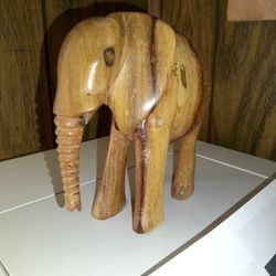 Elephant 