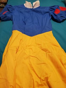 Home made Snow White Costume