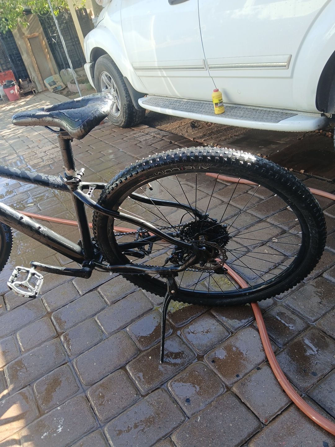 SPECIALIZED